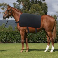 Couverture chauffante infrarouge à lumière rouge pour le bien-être des animaux, sans EMF, à impulsions, professionnelle, pour chevaux et équidés