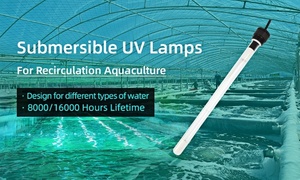 Direkt vom Hersteller: Tauchbare <span class=keywords><strong>UV</strong></span>-Lampe 10W 254/185nm für Aquakultur-Desinfektion - Product Image 5