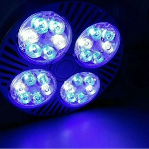 E27 Spotlight đèn tiết kiệm năng lượng màu đỏ màu xanh lá cây màu xanh trắng <span class=keywords><strong>PAR30</strong></span> bóng đèn LED chiếu sáng - Product Image 4