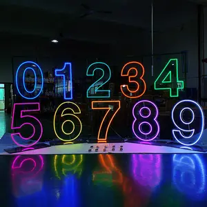 Winbo Design libero Rgb Neon LED numeri segni in piedi non appendere Moq Logov 3ft 4ft lettere grandi numeri al Neon personalizzati Flex