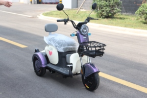 Vente en gros <span class=keywords><strong>Tricycle</strong></span> électrique 3 roues d'<span class=keywords><strong>occasion</strong></span> <span class=keywords><strong>pas</strong></span> <span class=keywords><strong>cher</strong></span> pour adultes - Product Image 2