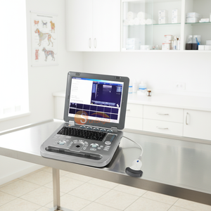 Ecógrafo Veterinario Portátil Digital Actualizado 2026 con Pantalla LED de 15 Pulgadas y 64 GB de Almacenamiento SUN-800D - Product Image 1