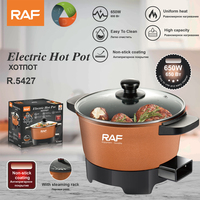Mini-cuiseur électrique RAF 2,5 L 650 W avec grille vapeur pour dortoir et cuisine domestique