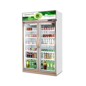 Freistehende aufrechte kommerzielle kalte Getränke Bier Kühlschrank Kühler Gefrier schrank Display Vitrine