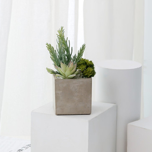 Caliente de <span class=keywords><strong>la</strong></span> venta de productos de interior decorativo artificial plantas suculentas <span class=keywords><strong>en</strong></span> cemento gris flor olla para casa - Product Image 2