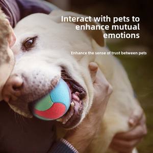 Balle élastique <span class=keywords><strong>de</strong></span> test <span class=keywords><strong>de</strong></span> morsure écologique pour <span class=keywords><strong>chien</strong></span> et chat pour animaux <span class=keywords><strong>de</strong></span> compagnie pour l'entraînement à l'auto-divertissement balle interactive silencieuse pour animaux <span class=keywords><strong>de</strong></span> compagnie - Product Image 3