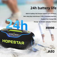 Enceinte de karaoké extérieure étanche avec basses profondes et microphone, enceinte Bluetooth avec carte TF, enceinte sans fil pour le camping