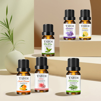 Set Minyak Esensial Lavender OEM ODM, Cold Pressed, Murni dari Tumbuhan, Tea Tree, Rosemary, Menenangkan, Membersihkan, Menyeimbangkan Kulit, Meredakan Iritasi