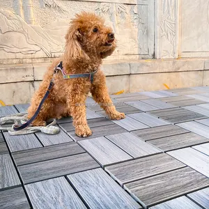 Waterproof Pavement Floor Outdoor Patio Garden Terrace Tiles Wood Composite Interlocking Decking Tile