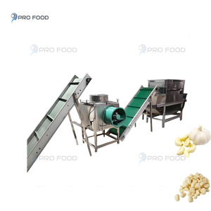 Maquinaria de línea de procesamiento de ajo personalizada con construcción profesional y alta velocidad para pelador de ajo industrial - Product Image 1
