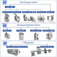 Automatische productielijn voor kleine schaal productie van vers sinaasappel-appel-lychee sap, Turkije