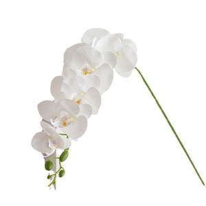 Orchidée Phalaenopsis Artificielle Kch à 9 Têtes en PVC pour Décoration Maison et Mariage - Product Image 5