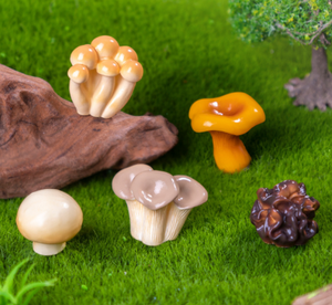 Resina in miniatura simpatico cartone animato Shiitake enoki re ostrica funghi ostrica spugnole fungo bianco fungo nero fata ornamenti da giardino - Product Image 4