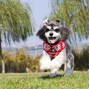 Tali kekang anjing kepingan salju Natal, Set tali kekang jaring lembut tidak ditarik liburan hewan peliharaan - Product Image 1