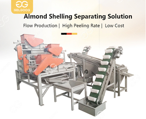 Separatore Automatico di Gusci di Mandorle <span class=keywords><strong>Macchina</strong></span> <span class=keywords><strong>per</strong></span> Separare Gusci e Noccioli di <span class=keywords><strong>Nocciole</strong></span> - Product Image 6