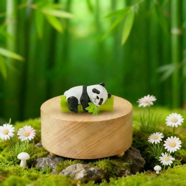 สีไม้-กล่องดนตรีแพนด้า-2