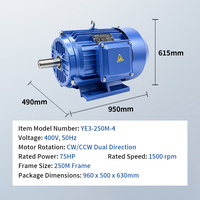 Moteur électrique asynchrone triphasé série Ye3, 75 CV, 1500 tr/min, à induction, très demandé
