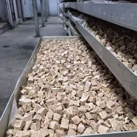 Vente en gros usine : Aliment lyophilisé pour animaux de compagnie (canard) – Réduit les larmes et les rougeurs, faible en gras, riche en protéines – Universel pour chats et chiens, personnalisable