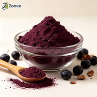 Poudre de superaliments OEM de haute qualité, poudre de fruits de baies d'açaï, poudre de jus de baies d'açaï