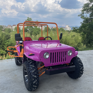 <span class=keywords><strong>Panique</strong></span> Achat Couleur Rose 2 Places Usine Vente Directe 4x4 Plage Buggy Visite Jeep Voiture 200 Club Jeep Go Kart Énergie Électrique - Product Image 5