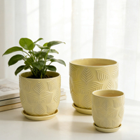 Pot de fleurs rond en céramique pour plantes d'intérieur, design classique coréen, couleur INS, style nordique moderne, vente en gros