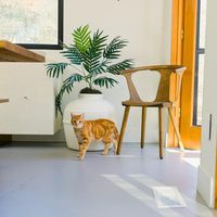 Bon prix Bac à litière caché original pour animaux de compagnie Plantes artificielles Bac à litière pour chat fermé pour un nettoyage facile