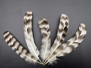 Venta al por Mayor de 50 Piezas/Bolsa de Plumas de Ala de Gallo <span class=keywords><strong>Chinchilla</strong></span> Naturales de 15-20 cm para Sombreros de Carnaval, Manualidades y Decoraciones para Fiestas - Product Image 3