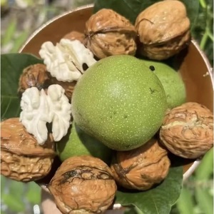 Noyaux de noix biologiques du Yunnan, collation saine, ingrédient de pâtisserie, confiture de haute qualité pour planches à découper, beurre de noix, enrichit la saveur - Product Image 4