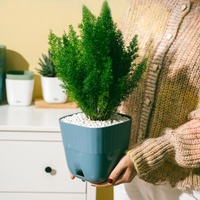 Pot de fleurs de bureau au design moderne pour chambre à coucher Plastique épaissi spécial pour succulentes cactus