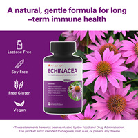Capsules d'extrait d'échinacée nutritif, soutien immunitaire et vitalité, complément tonique premium, certifié GMP