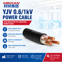 Câble d'alimentation PVC 2 conducteurs 4 mm² ZR 0.6 1 KV ZR YJV VV 3 2 conducteurs Isolation XLPE Gaine PVC 3x6mm²