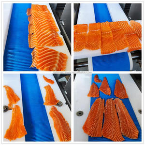 Ức gà mới và máy cắt phi lê cá hiệu quả Thiết bị cắt lát thịt lợn - Product Image 5