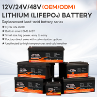Batterie au lithium-ion à décharge profonde 600Ah 400Ah 300Ah 200Ah 100Ah avec BMS intelligent Bluetooth Lifepo4 pour systèmes solaires/hors réseau