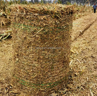 Mini-presse à balles agricole pour foin et ensilage avec boîte de vitesses, récolteuse d'ensilage de maïs et presse à balles rondes combinée