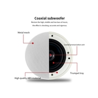 Haut-parleur de plafond à corne haute fidélité à résistance constante coaxiale, approvisionnement direct d'usine