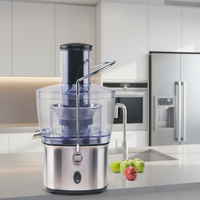 Extracteur de jus centrifuge domestique en acier inoxydable, presse-fruits et légumes électrique portable, machine à jus multifonctionnelle