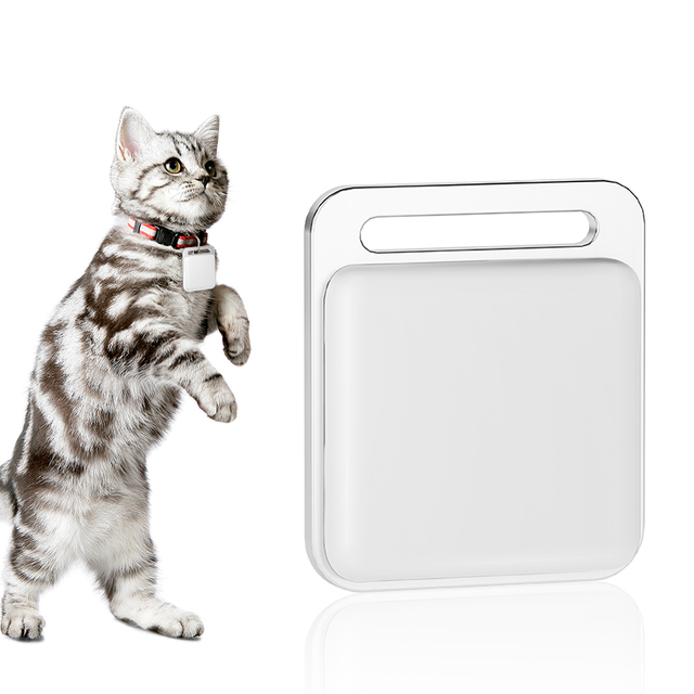 Pet GPS Tracker for Dog and Cat for Android and IOS with No Subscription No Fee Small Tracking Tag Time Tracking Collar