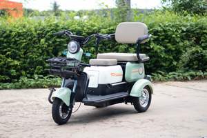 600w/800w/1000w電気三輪車3席家族と大人のため - Product Image 5