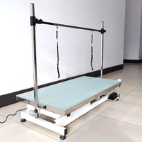 Table à éclairage LED 829 v, établi pour toilettage des animaux de compagnie, pour le chiens
