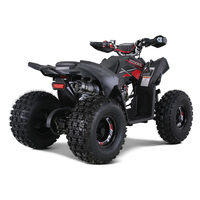Tao Moteur Atv Utv 4 Portes Frein À Tambour Avant Nouveau Design Sport 5AH Peace Sports Enfants Automatique 125CC 12V 125cc Quad Bike