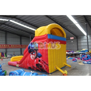 Toboggan aquatique Offre Spéciale commercial gonflable Tale of <span class=keywords><strong>Ladybug</strong></span> Cat <span class=keywords><strong>Noir</strong></span> maison de rebond piscine videur gonflable Double toboggan à louer - Product Image 4