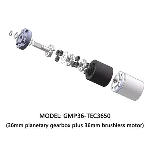 36mm Bürste Gleichstrom motor hohes Drehmoment 3000 U/min 12V Planeten getriebe tt Motor Gleichstrom motor Lieferant