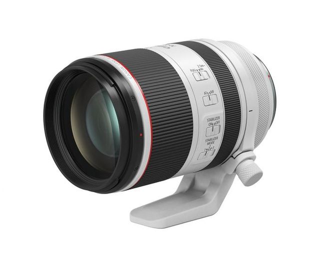 271RF 100-500mm F/4.5-7.1 L IS USM Lens