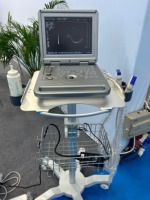ZY-S70A Veterinärmedizinisches Schwarz-Weiß-Ultraschallscanner-System Notebook-Gerät Diagnostische 4D-Technologie CE-Zertifiziert 1 Jahr Garantie