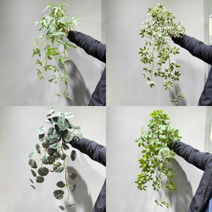Planta Artificial Verde Meng Jie de 30cm-100cm, Decoración de Pared para Interiores, Hojas de Eucalipto y Árbol del Dinero, Tela de PVC y Seda - Product Image 4