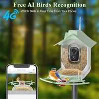Nourrisseur d'oiseaux avec caméra, prend en charge la reconnaissance d'espèces d'oiseaux par intelligence artificielle, vidéo en