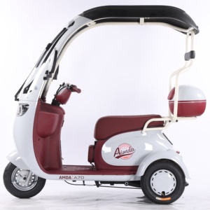Nuevo Triciclo Eléctrico Motorizado <span class=keywords><strong>Chino</strong></span> de 3 Ruedas para Adultos, Diseño Abierto Multicolor de Alta Calidad, 650W 60V, Ligero - Product Image 5