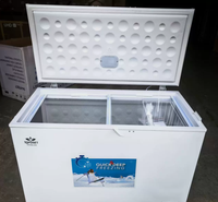 Réfrigérateur vertical de 269 L pour congélation et surgélation rapide, commercial, écoénergétique, avec panneau revêtu VCM