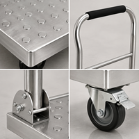 Chariot utilitaire à 4 roues en acier inoxydable SUS304 durable avec poignée pliable, surface sablée, capacité de charge de 300 kg/m