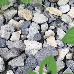 Drip Irrigation DaringFish: Gotero Ajustable de 8 Orificios Rojo, Plástico de Ingeniería, para Jardinería Doméstica y Espacios Públicos Verdes - Product Image 3